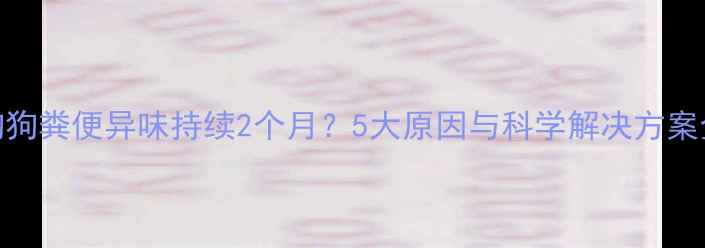 图片 狗狗粪便异味持续2个月？5大原因与科学解决方案全