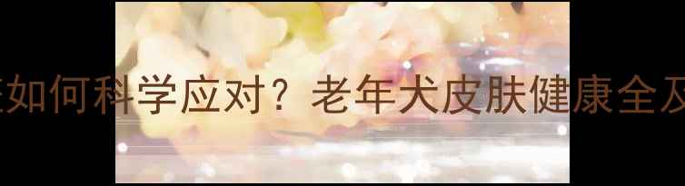 图片 狗狗老年斑如何科学应对？老年犬皮肤健康全及养护指南2