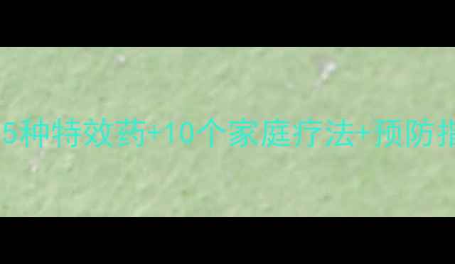 图片 狗狗胃病吃什么药？5种特效药+10个家庭疗法+预防指南（附用药禁忌）1