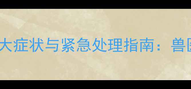 图片 狗狗腹股沟疝呕吐的7大症状与紧急处理指南：兽医详解病因及自救方法