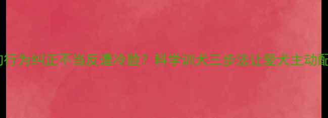 图片 狗狗行为纠正不当反遭冷脸？科学训犬三步法让爱犬主动配合1