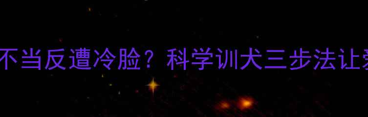 图片 狗狗行为纠正不当反遭冷脸？科学训犬三步法让爱犬主动配合2