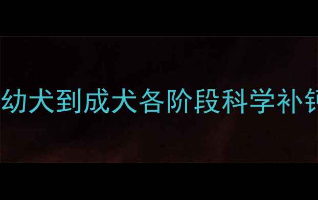 图片 狗狗补钙最佳时间表：幼犬到成犬各阶段科学补钙指南（附补钙误区）2