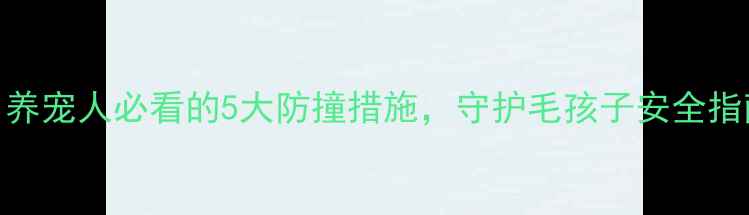 图片 狗狗被车撞真相！养宠人必看的5大防撞措施，守护毛孩子安全指南（附训练视频）