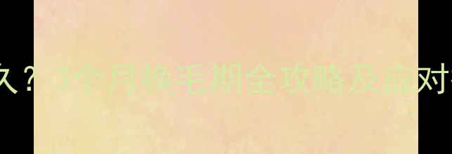 图片 狗狗褪毛一般需要多久？3个月换毛期全攻略及应对措施（附护理指南）2