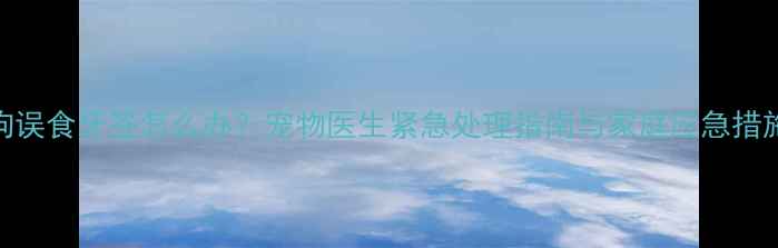 图片 狗狗误食牙签怎么办？宠物医生紧急处理指南与家庭应急措施全