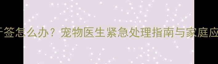 图片 狗狗误食牙签怎么办？宠物医生紧急处理指南与家庭应急措施全1