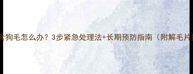 图片 狗狗误食狗毛怎么办？3步紧急处理法+长期预防指南（附解毛片推荐）1