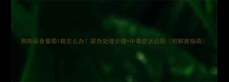 图片 狗狗误食葡萄1颗怎么办？紧急处理步骤+中毒症状识别（附解救指南）