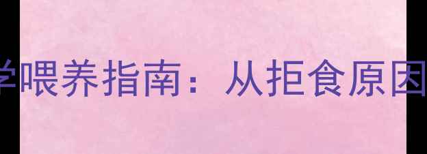 图片 狗狗长期挑食怎么办？15天科学喂养指南：从拒食原因到营养配比全（附兽医建议）1