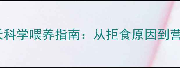 图片 狗狗长期挑食怎么办？15天科学喂养指南：从拒食原因到营养配比全（附兽医建议）2