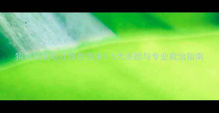 图片 狗狗频繁呕吐绿色泡沫？5大原因与专业救治指南