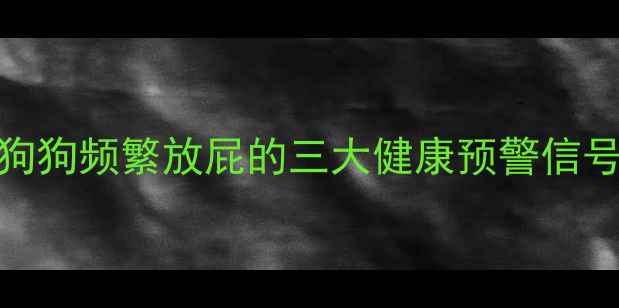 图片 狗狗频繁放屁的三大健康预警信号