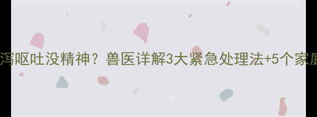 图片 狗狗频繁腹泻呕吐没精神？兽医详解3大紧急处理法+5个家庭护理要点1