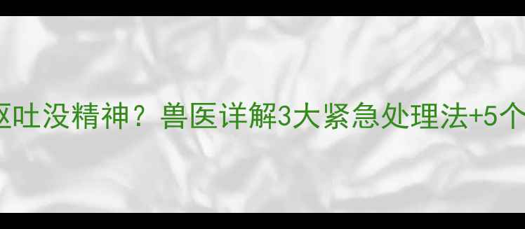 图片 狗狗频繁腹泻呕吐没精神？兽医详解3大紧急处理法+5个家庭护理要点2