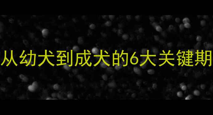 图片 猎梗犬成长全记录：从幼犬到成犬的6大关键期｜新手必看养宠攻略