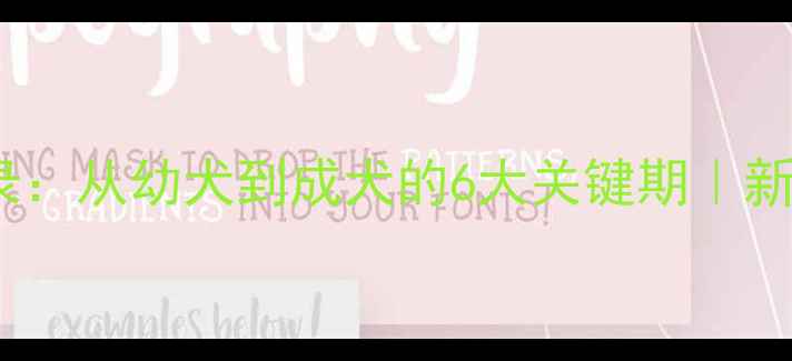 图片 猎梗犬成长全记录：从幼犬到成犬的6大关键期｜新手必看养宠攻略1