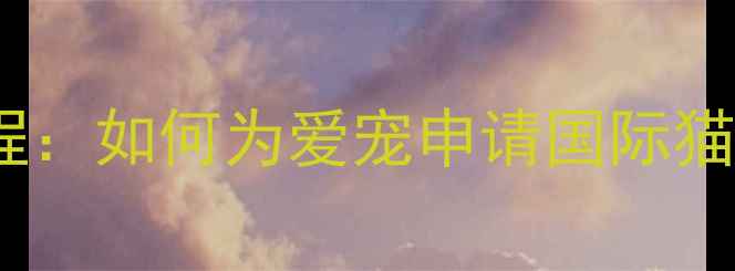 图片 猫咪CFA认证全流程：如何为爱宠申请国际猫科动物联合会资质