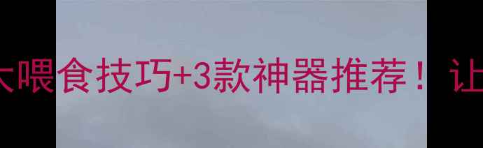 图片 猫咪不吃益生菌？3大喂食技巧+3款神器推荐！让主子主动吃下健康粮
