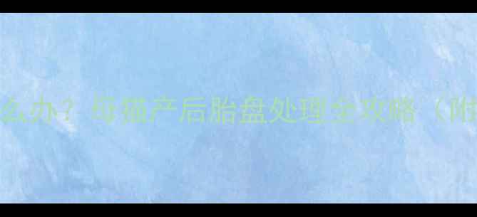 图片 猫咪不吃胎盘怎么办？母猫产后胎盘处理全攻略（附正确喂养方法）