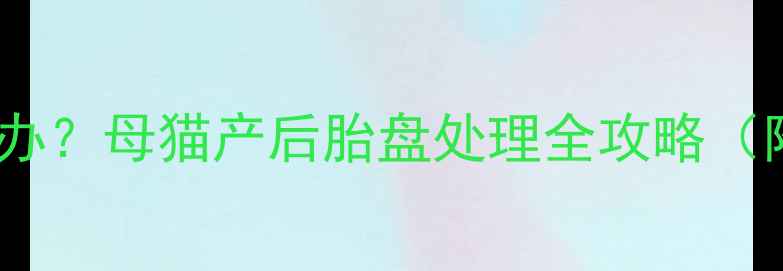 图片 猫咪不吃胎盘怎么办？母猫产后胎盘处理全攻略（附正确喂养方法）1