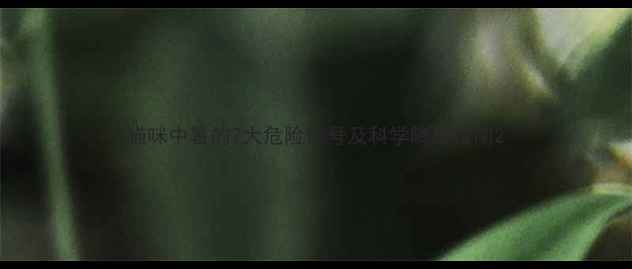 图片 猫咪中暑的7大危险信号及科学降温指南2