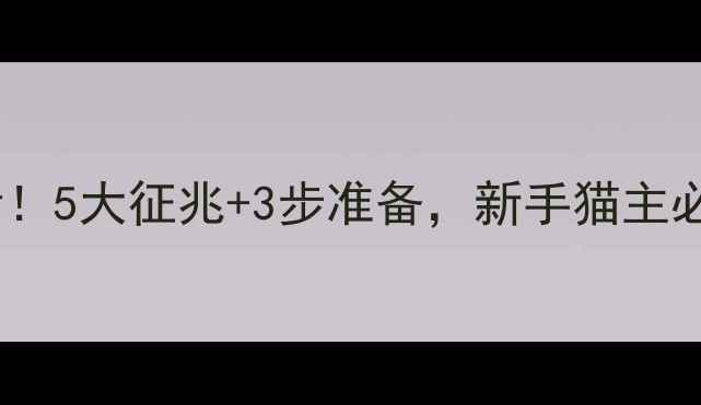 图片 猫咪临产前必看！5大征兆+3步准备，新手猫主必学的生产指南1