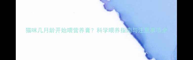 图片 猫咪几月龄开始喂营养膏？科学喂养指南与注意事项全