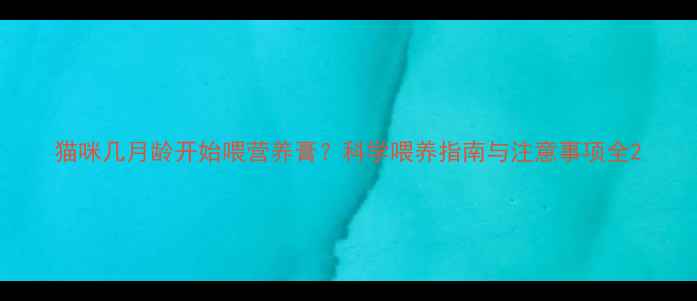 图片 猫咪几月龄开始喂营养膏？科学喂养指南与注意事项全2