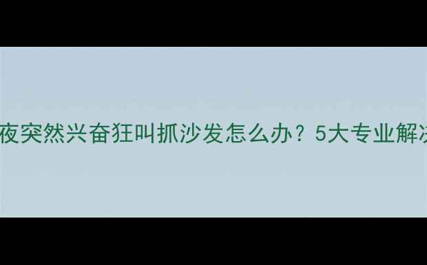 图片 猫咪半夜突然兴奋狂叫抓沙发怎么办？5大专业解决指南2