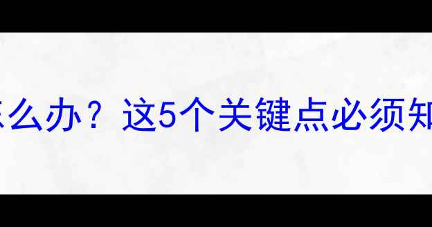 图片 猫咪吃了益生菌吐了怎么办？这5个关键点必须知道！附专业处理指南1