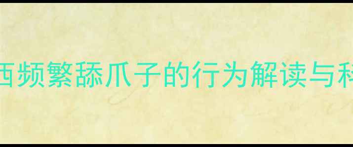 图片 猫咪吃完东西频繁舔爪子的行为解读与科学应对指南