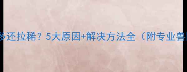 图片 猫咪吃得多还拉稀？5大原因+解决方法全（附专业兽医建议）1