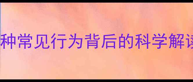 图片 猫咪尾巴动作：10种常见行为背后的科学解读，养猫人必看！2