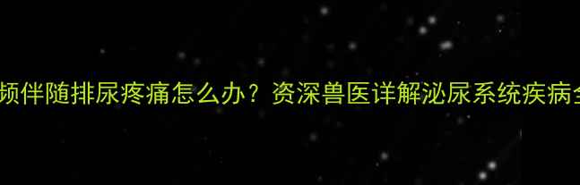 图片 猫咪尿频伴随排尿疼痛怎么办？资深兽医详解泌尿系统疾病全攻略1
