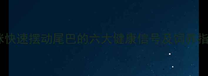 图片 猫咪快速摆动尾巴的六大健康信号及饲养指南1