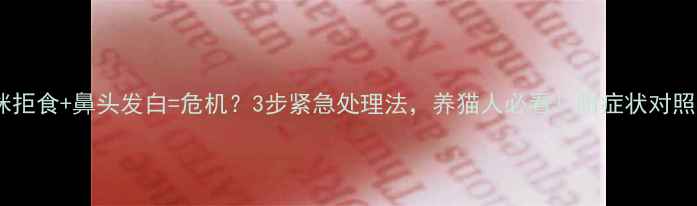 图片 猫咪拒食+鼻头发白=危机？3步紧急处理法，养猫人必看！附症状对照表2