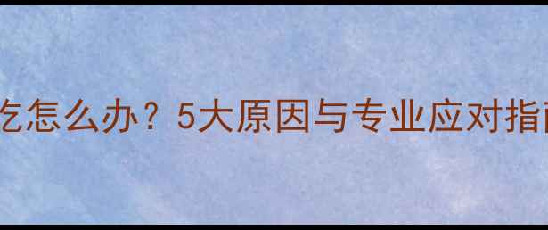 图片 猫咪接种疫苗后不吃怎么办？5大原因与专业应对指南（附食补方案）2