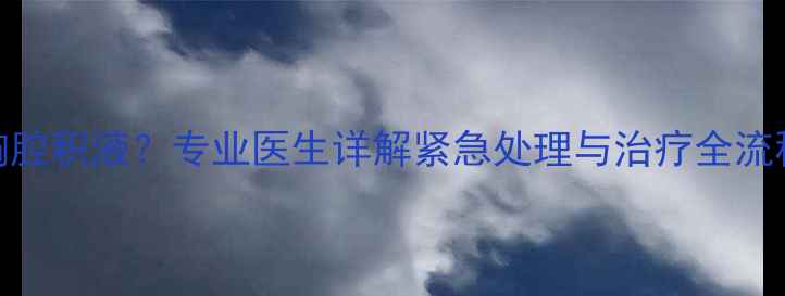 图片 猫咪摔伤后出现胸腔积液？专业医生详解紧急处理与治疗全流程（附护理指南）