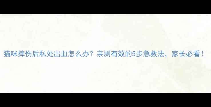 图片 猫咪摔伤后私处出血怎么办？亲测有效的5步急救法，家长必看！