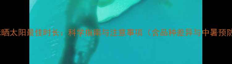 图片 猫咪晒太阳最佳时长：科学指南与注意事项（含品种差异与中暑预防）2