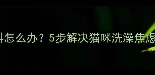 图片 猫咪洗澡发抖怎么办？5步解决猫咪洗澡焦虑的实用指南1