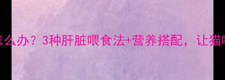 图片 猫咪消瘦怎么办？3种肝脏喂食法+营养搭配，让猫咪健康增重