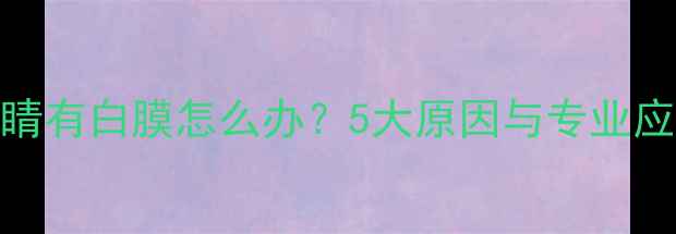 图片 猫咪眼睛有白膜怎么办？5大原因与专业应对指南