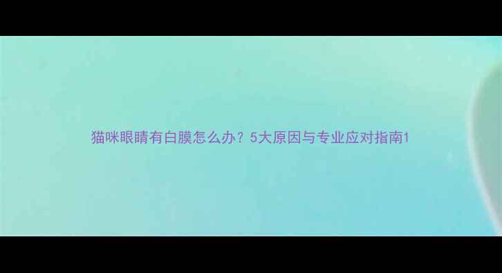 图片 猫咪眼睛有白膜怎么办？5大原因与专业应对指南1