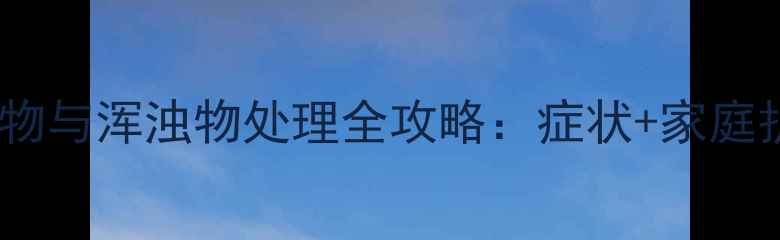 图片 猫咪眼部分泌物与浑浊物处理全攻略：症状+家庭护理+就医指南