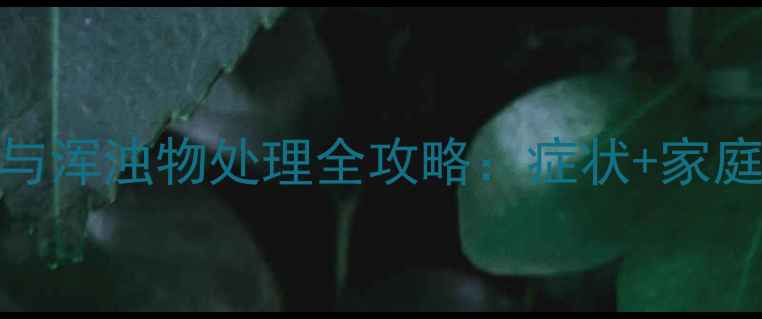 图片 猫咪眼部分泌物与浑浊物处理全攻略：症状+家庭护理+就医指南1