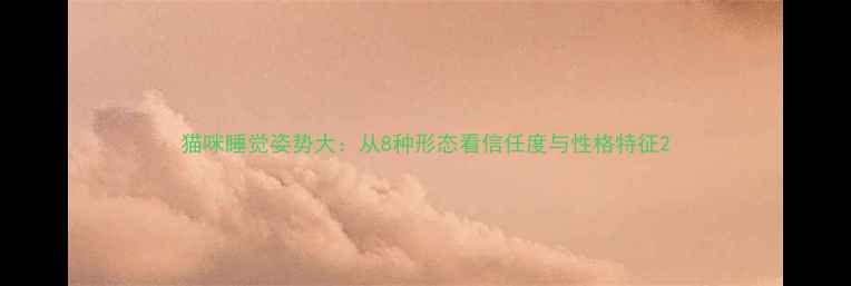 图片 猫咪睡觉姿势大：从8种形态看信任度与性格特征2