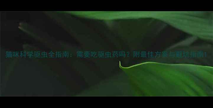 图片 猫咪科学驱虫全指南：需要吃驱虫药吗？附最佳方案与避坑指南1