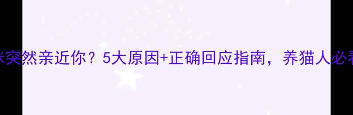 图片 猫咪突然亲近你？5大原因+正确回应指南，养猫人必看！